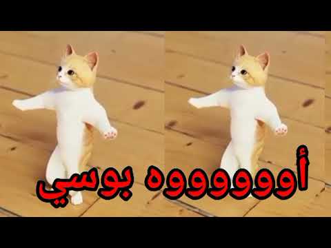 اغنية باسم بوسي الحلوة الزينة سطلانة السعودية الكويت الامارات قطر عمان البحرين تركيا دبي ابوظبي