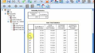 reliability test using SPSS