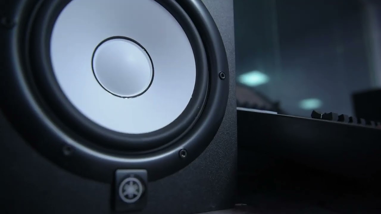scc update dec 24