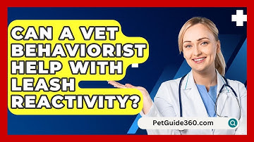 Can A Vet Behaviorist Help With Leash Reactivity? - PetGuide360.com