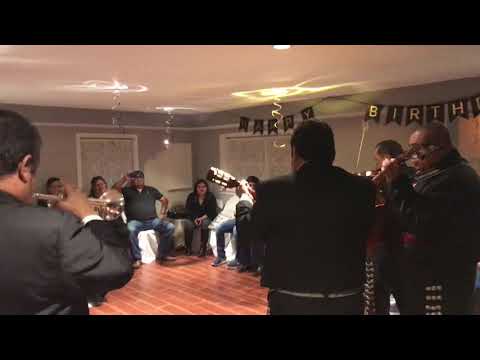 Mariachi cantando yo vendo unos ojos negro