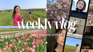 i went to a tulip farm | weekly vlog, shopping at ulta, girl chat