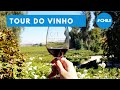 ONDE IR EM SANTIAGO? Visita Vinícola Concha Y Toro e Restaurante Giratório | Viagem Santiago Ep.03