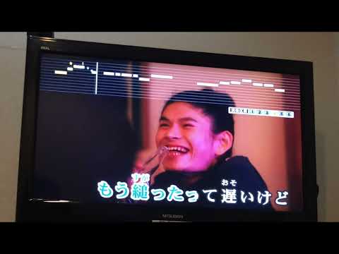 【14歳が歌う】ブルーベリーナイツ／マカロニえんぴつ