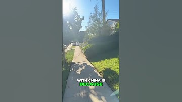 The Hidden Truth About Free Trade and Economic Models