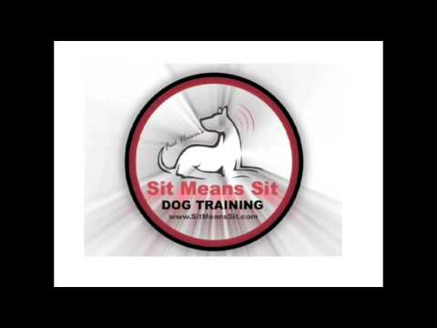 sit-means-sit-hawaii-real-dogs...........-do-real-training