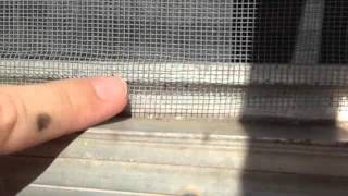 Replacing the screens on my vintage trailer Wealth