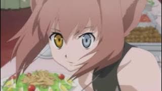 「AMV」 Dragon Crisis   Don't Stop