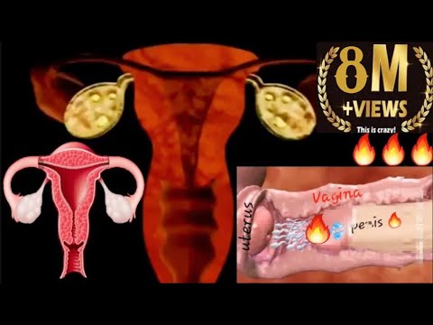 Video: Kur prisitvirtina placenta?