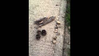 20130506_190924.mp4