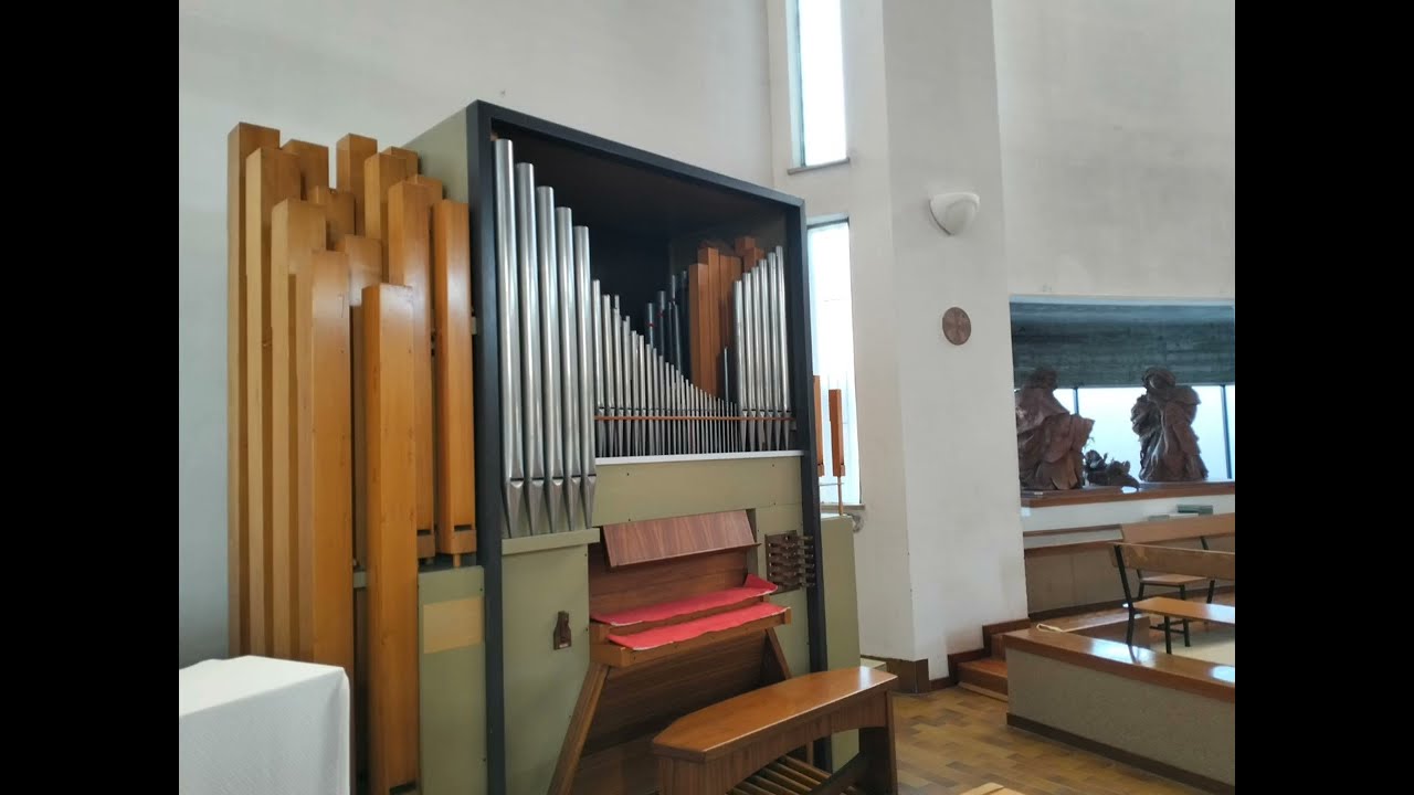 Organi del Mantovano: Suzzara - Parrocchia della Sacra Famiglia