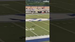 Dog runs 70 yards in 5 seconds @viralhog on Instagram #shorts #football #dog #sports #frisbee