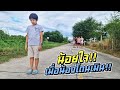 น้องน้อยใจโดนเมิน!! พี่ตัวแสบแกล้งเมินน้อง | ชีต้าพาชิว