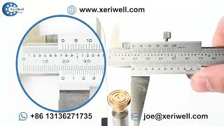REXROTH A10VG28 Hydraulic Pump Spare Parts Piston Shoe post hole auger jewsons thunderbay y43