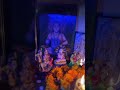 #hanuman 🌼🌼🌺🌺💐💐🙏🙏🙏❤️