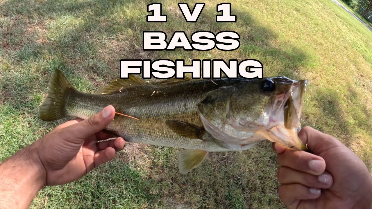 GTV | Bass Fishing Showdown: Who Will Catch the Biggest Bass?