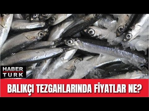 Video: Hangi Balık Kemiksizdir