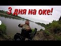 Большая РЫБАЛКА. Трое СУТОК на ДИКОМ берегу РЕКИ Оки