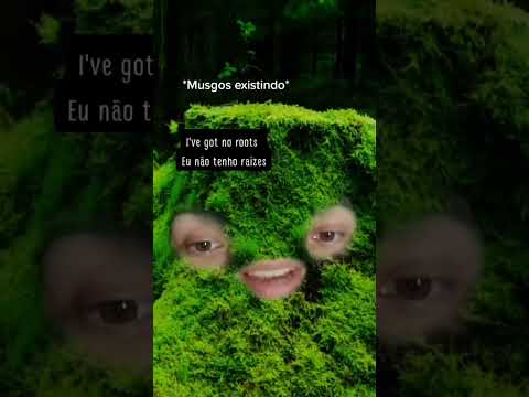 Vídeo: Os musgos têm raízes?