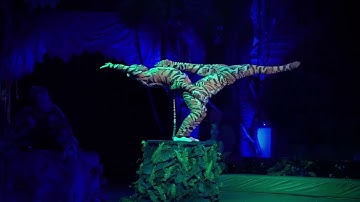 LIÊN ĐOÀN XIẾC VIỆT NAM - TRAILER (THẾ GIỚI HOẠT HÌNH TRONG KHU RỪNG THẦN TIÊN)