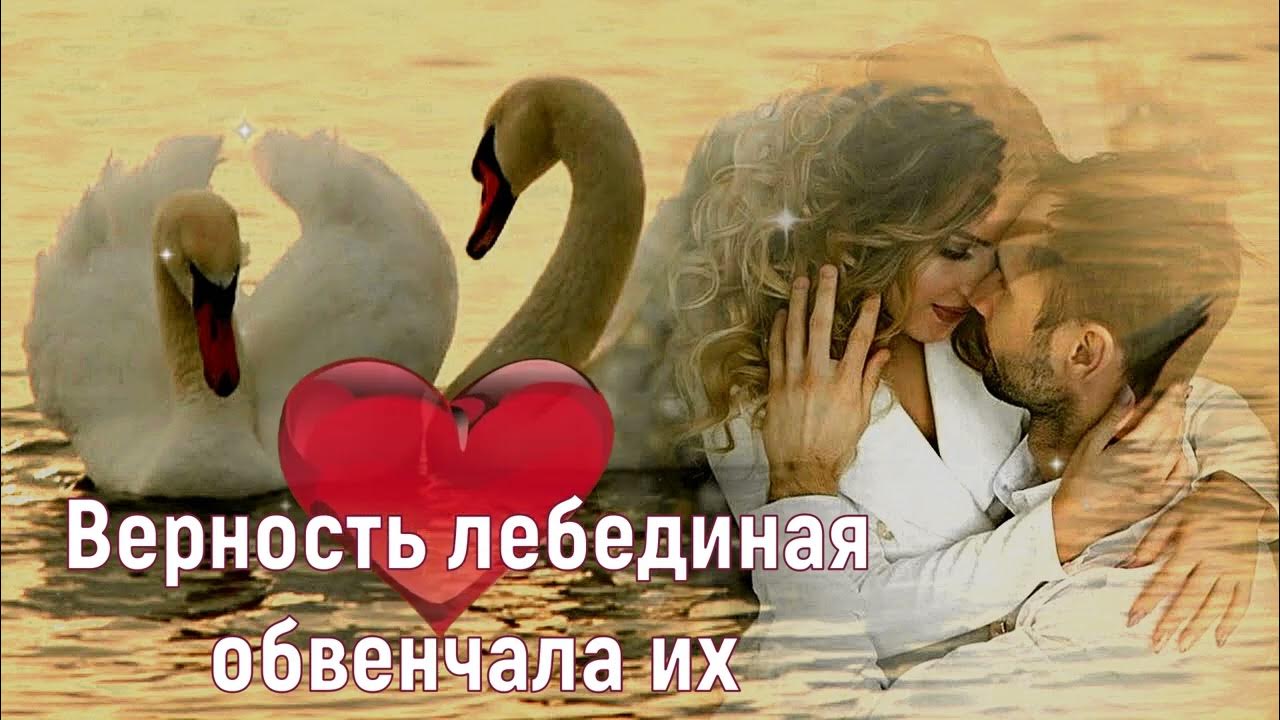 Уставшие лебеди слушать