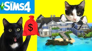Mi nueva casa en los SIMS 4 con gatos Luna y Estrella CAP 10 Mansión en la playa / Videos de gatitos