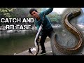 Big Freshwater Eel || Catch and Release ||best fishing video||Jungle Infinity with Chimong
