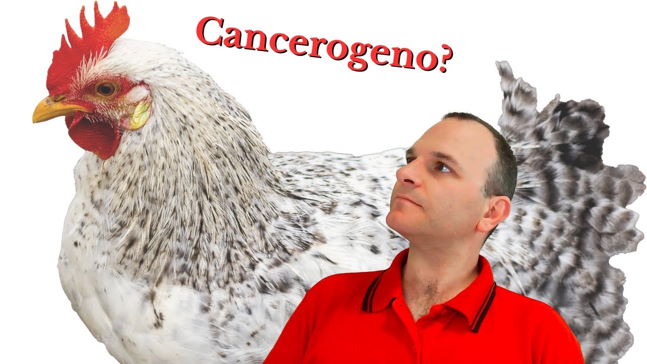 Cos'è sta storia del pollo cancerogeno?