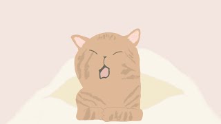 What I Learned From My Cat