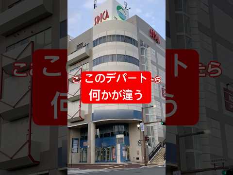 【1本の国道を全部歩くPart11】このデパートは一体…? #国道408号線 #筑西市 #おしゃべりひろゆきメーカー