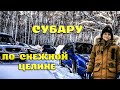 Субару по снежной целине. Субару покатушки. Субару чистит снег.