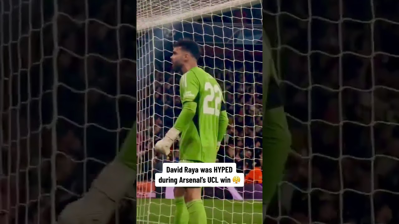 La emoción de avanzar en la Champions League (via GoonerForever27) 