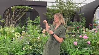 The Mothers for Mothers Garden by Pollyanna Wilkinson, RHS Chelsea Flower Show 2022