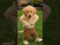 Dog Gangster Vibes. 😎😎 #funny #dogshorts #aifunny #shorts
