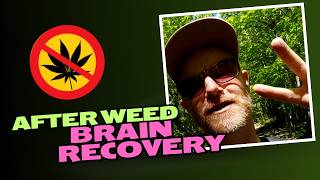 What Happens to Your Brain After Quitting Weed 1 Month to 1 Year Recovery