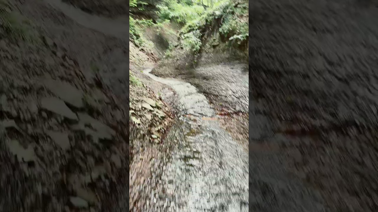Mira In the Amazon Canyons #rap #amazon #music #woods #bornforthis #Hawk en YouTube Mira In the Amazon Canyons #rap #amazon #music #woods #bornforthis #Hawk en YouTube