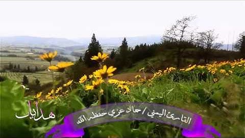 تلاوة فااااائقة العذوبة بصوت القارئ || حماد عزي حفظه الله