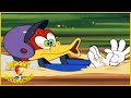 Woody Woodpecker Show | Homerun Woody | 1 Hour Compilation | Videos For Kids