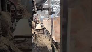 Amazing Wood Sawing Process