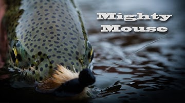 Alaska Mouse Fishing - Mighty Mouse - Aniak River Lodge
