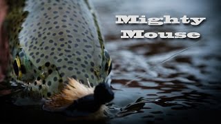 Alaska Mouse Fishing - Mighty Mouse - Aniak River Lodge(It's true, these hungry Alaska Rainbow Trout actually eat mice - and they eat them almost all summer. The mousing on the Aniak is unlike anything we've ever ..., 2016-01-31T17:42:01.000Z)