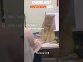 Ranking Most Mishievous Cat