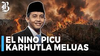 Karhutla 2026 Tembus 202 Ribu Hektare, Tertinggi Sejak 2019