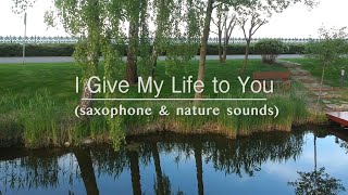 I Give My Live To You (Saxophone \u0026 Nature Sounds)