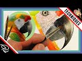 Realistic Bird WATERCOLOR PAINTING - #2 Painting a Realistic Parrot Beak