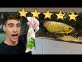 Shopping at the RICHEST AQUARIUM in the World!! ... (rare fish inside)