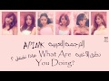 Apink - What are you doing (Arabic Sub) الترجمة + نطق الأغنية