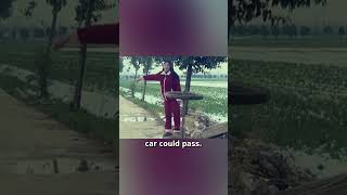 She Flipped Her Cart To Make Room For A Wedding Car