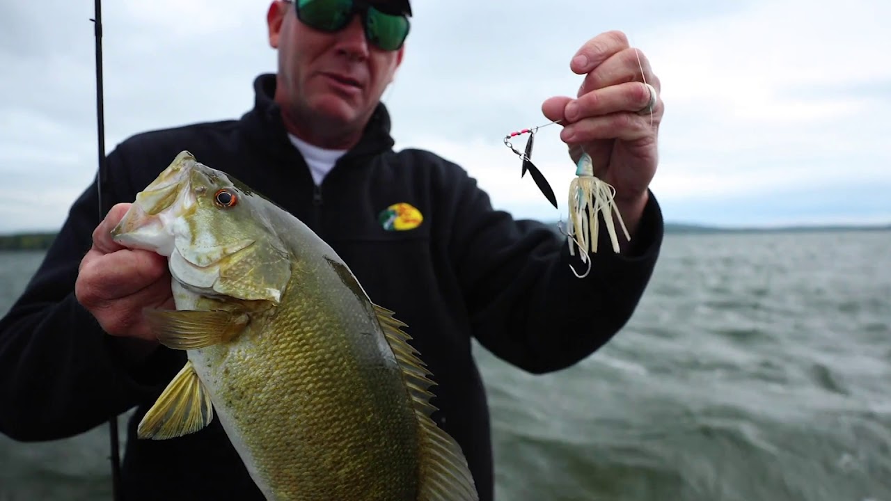 Perfect conditions for Spinnerbait fishing 