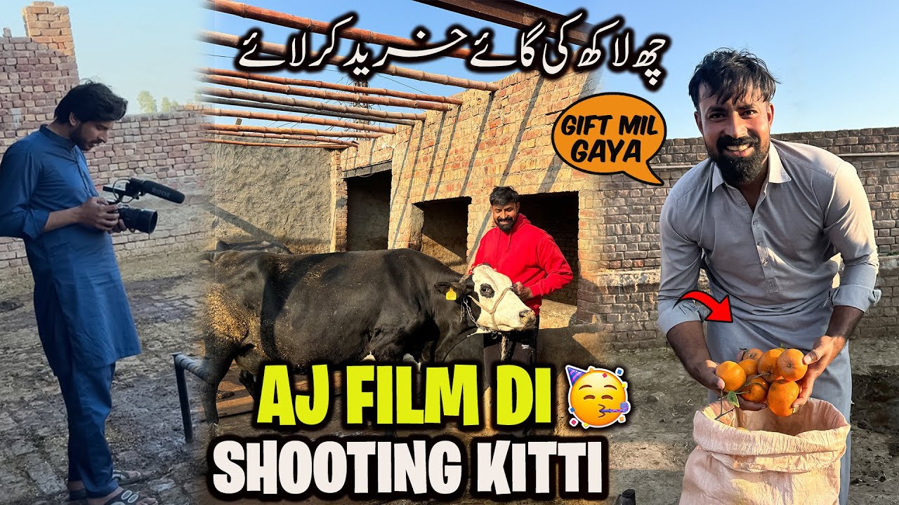 Aj Short Film 🎥 Shoot Kitti | Fan Gift Ly K Ay | چھ لاکھ کی گائے خرید لی